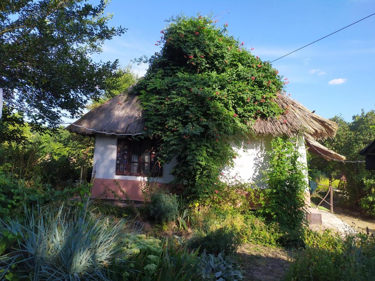 Koryakivskyi Rai Guest House Dmitrenki Ngoại thất bức ảnh