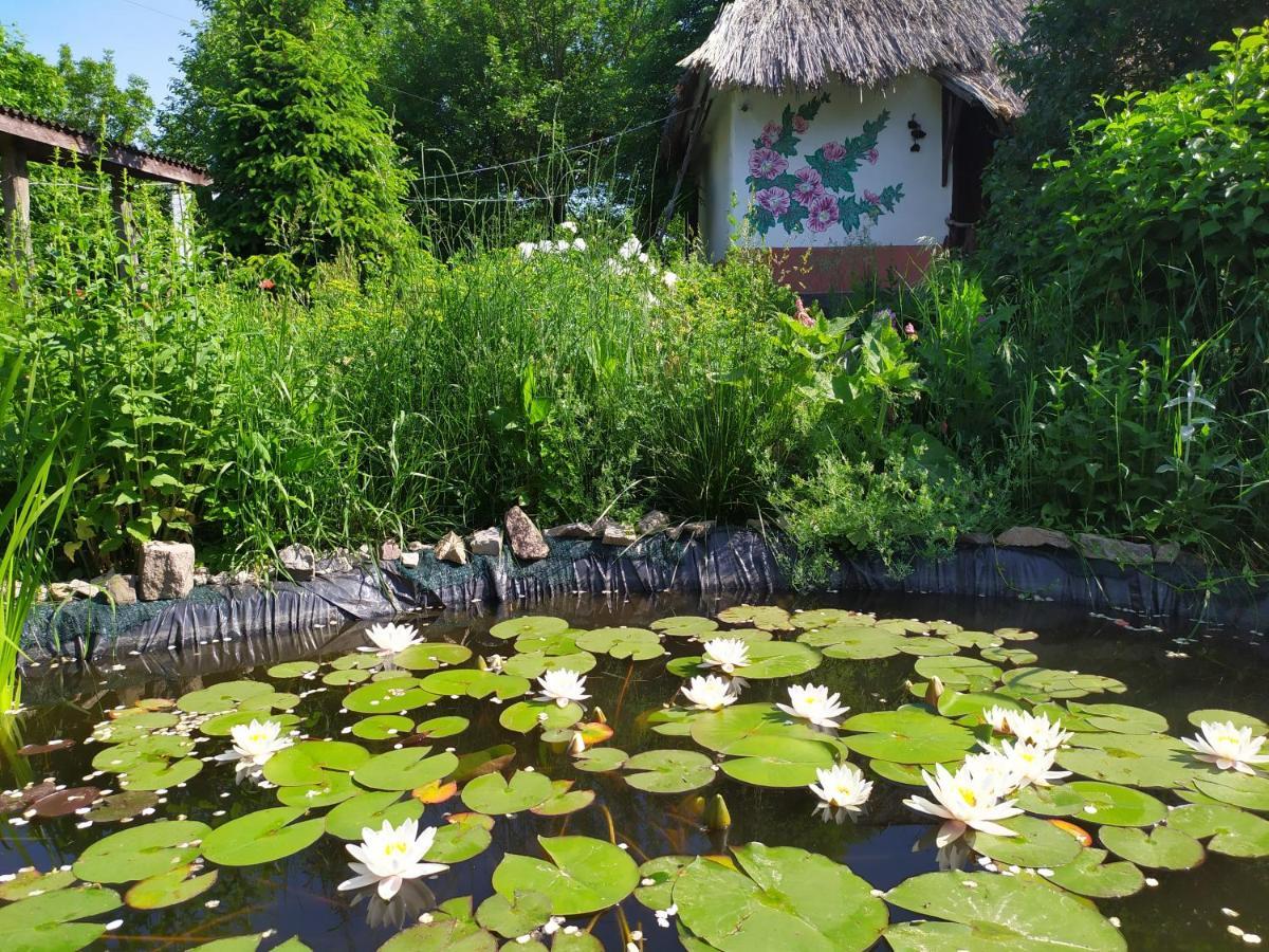 Koryakivskyi Rai Guest House Dmitrenki Ngoại thất bức ảnh