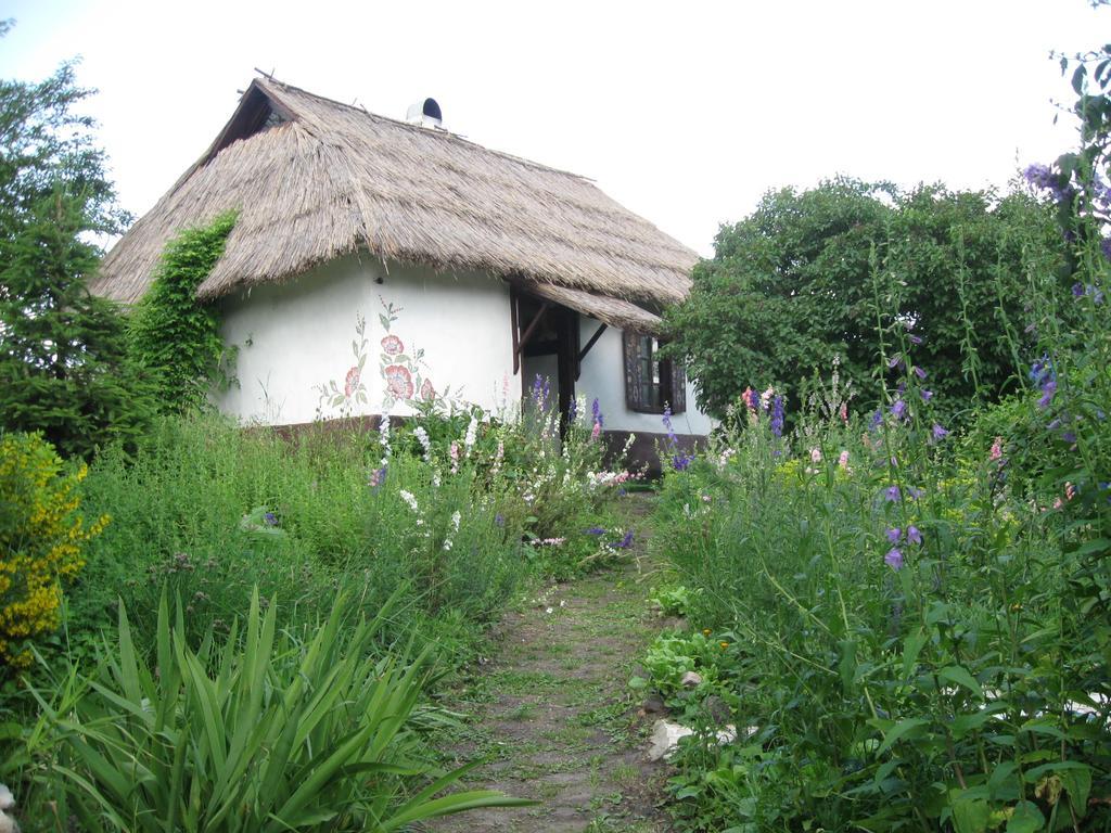 Koryakivskyi Rai Guest House Dmitrenki Ngoại thất bức ảnh
