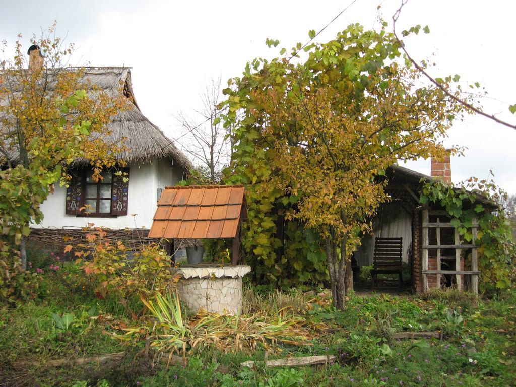Koryakivskyi Rai Guest House Dmitrenki Ngoại thất bức ảnh