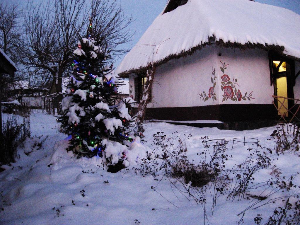 Koryakivskyi Rai Guest House Dmitrenki Ngoại thất bức ảnh