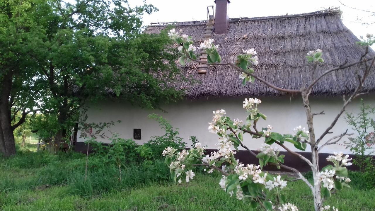 Koryakivskyi Rai Guest House Dmitrenki Ngoại thất bức ảnh