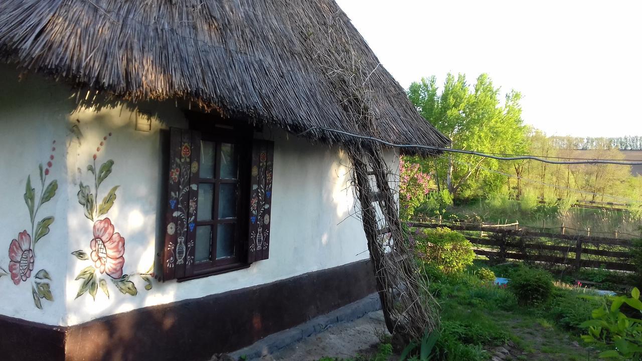 Koryakivskyi Rai Guest House Dmitrenki Ngoại thất bức ảnh