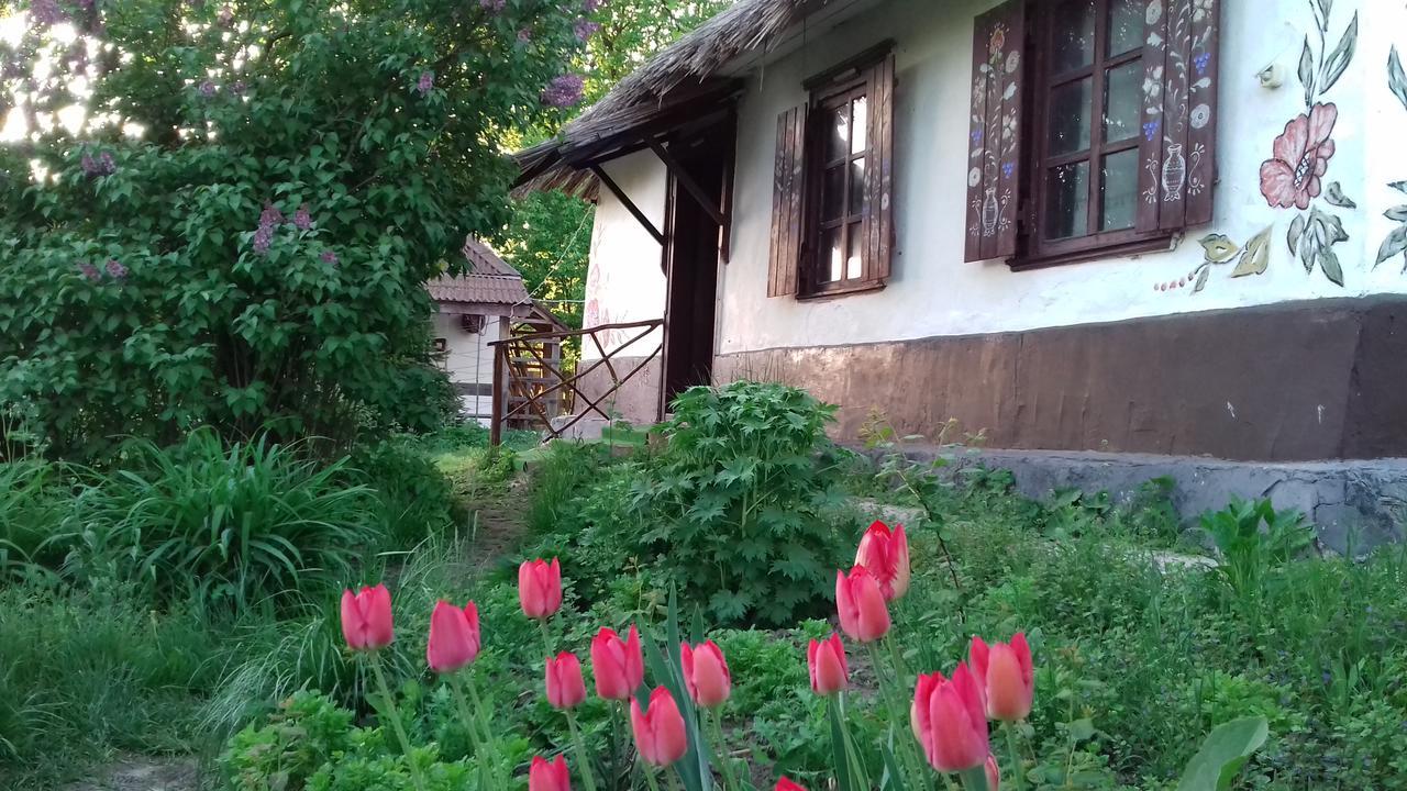 Koryakivskyi Rai Guest House Dmitrenki Ngoại thất bức ảnh