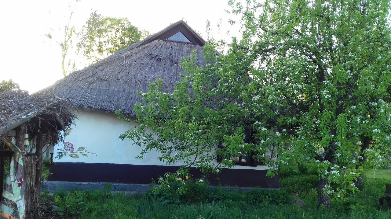 Koryakivskyi Rai Guest House Dmitrenki Ngoại thất bức ảnh