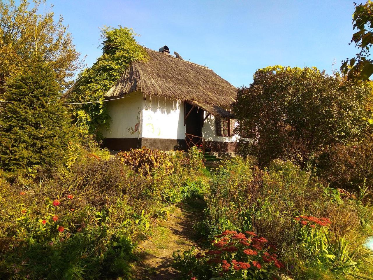 Koryakivskyi Rai Guest House Dmitrenki Ngoại thất bức ảnh