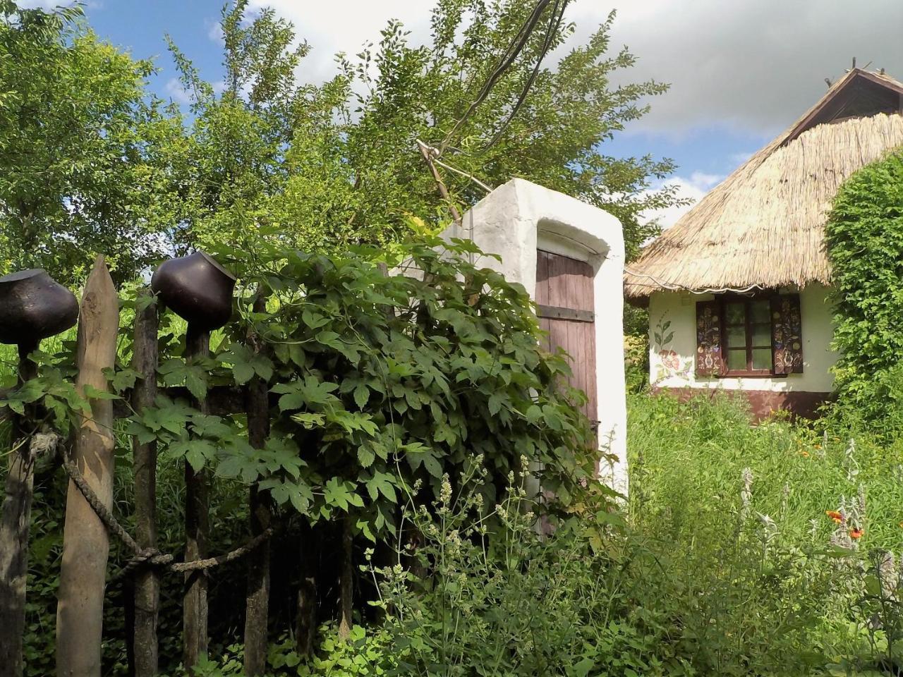 Koryakivskyi Rai Guest House Dmitrenki Ngoại thất bức ảnh