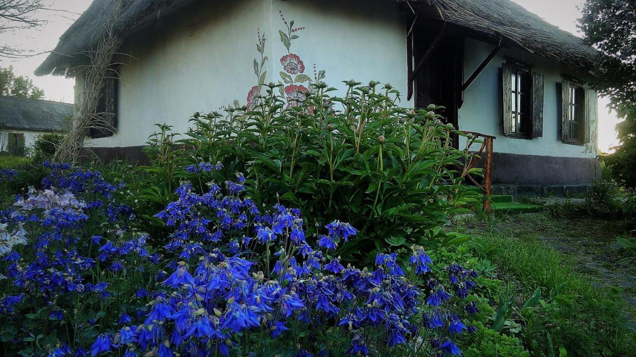Koryakivskyi Rai Guest House Dmitrenki Ngoại thất bức ảnh