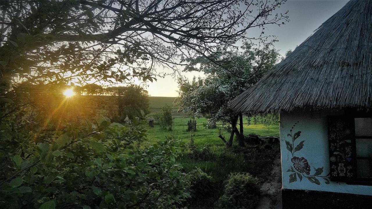 Koryakivskyi Rai Guest House Dmitrenki Ngoại thất bức ảnh